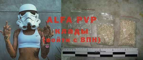 гидра Карпинск
