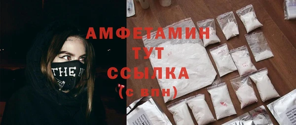 гидра Карпинск