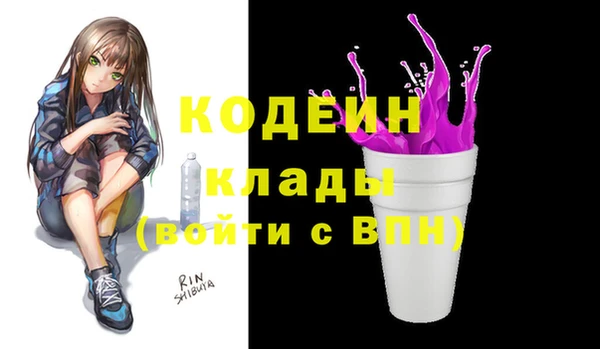 гидра Карпинск