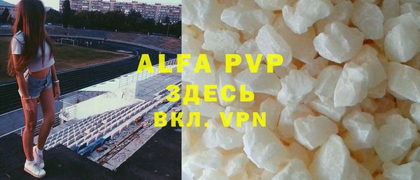 гидра Карпинск
