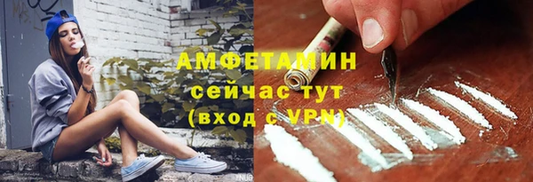 гидра Карпинск