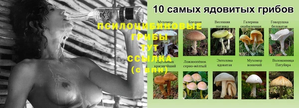 круглые Карталы