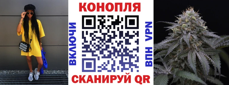 где купить наркоту  Когалым  блэк спрут зеркало  Каннабис сатива 